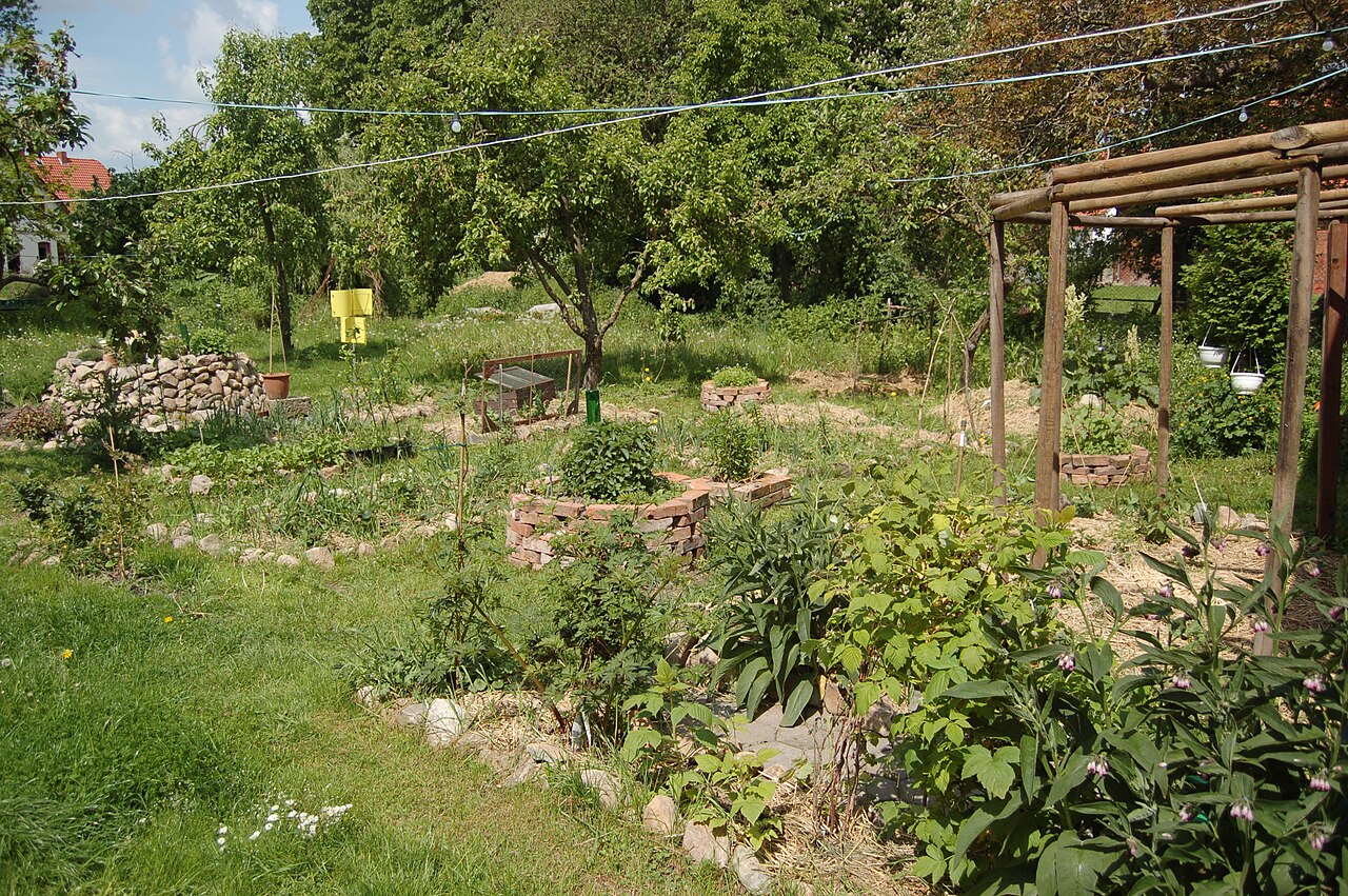 Permaculture: Designing Life Like an Ecosystem