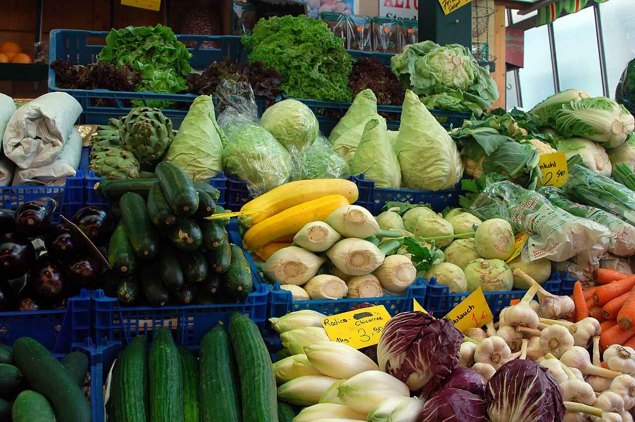 Plant‑Based Nutrition: The Foundation