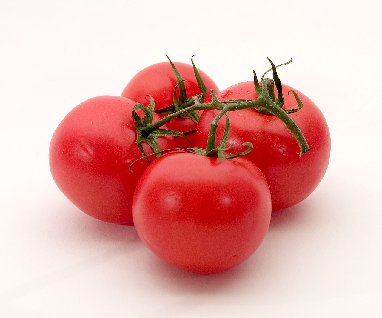 Understanding Food Quality